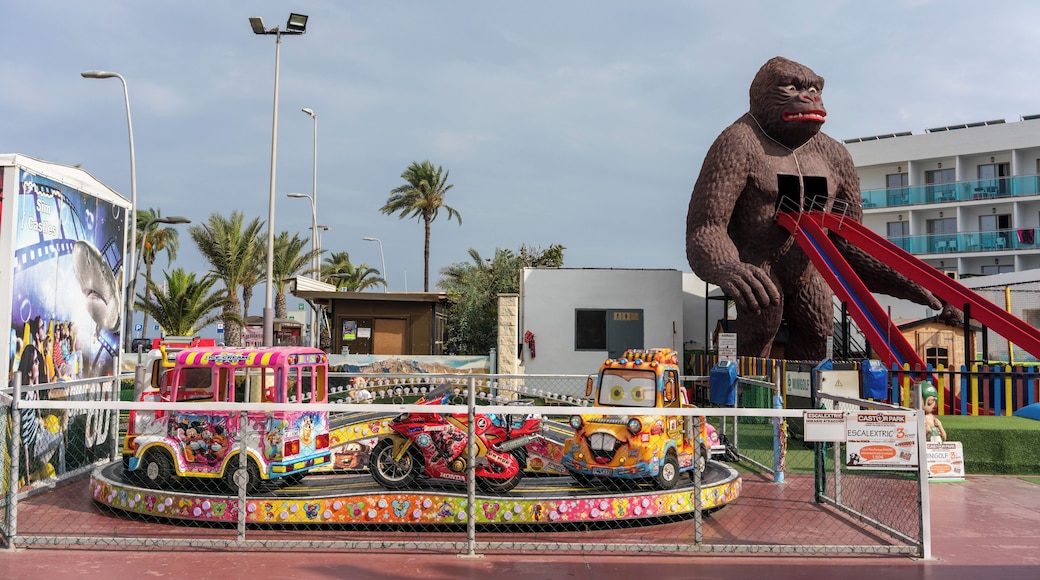 RoquetasdeMar_CastorPark_553248621562485268_02