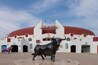 RoquetasdeMar_PlazaDeToros_553248621562485581_04