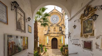 San Pablo Church showing a church or cathedral and heritage elements