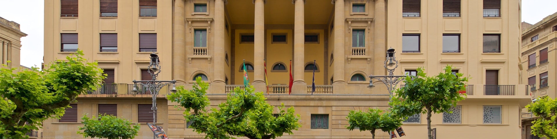 Teatro Gayarre showing heritage architecture