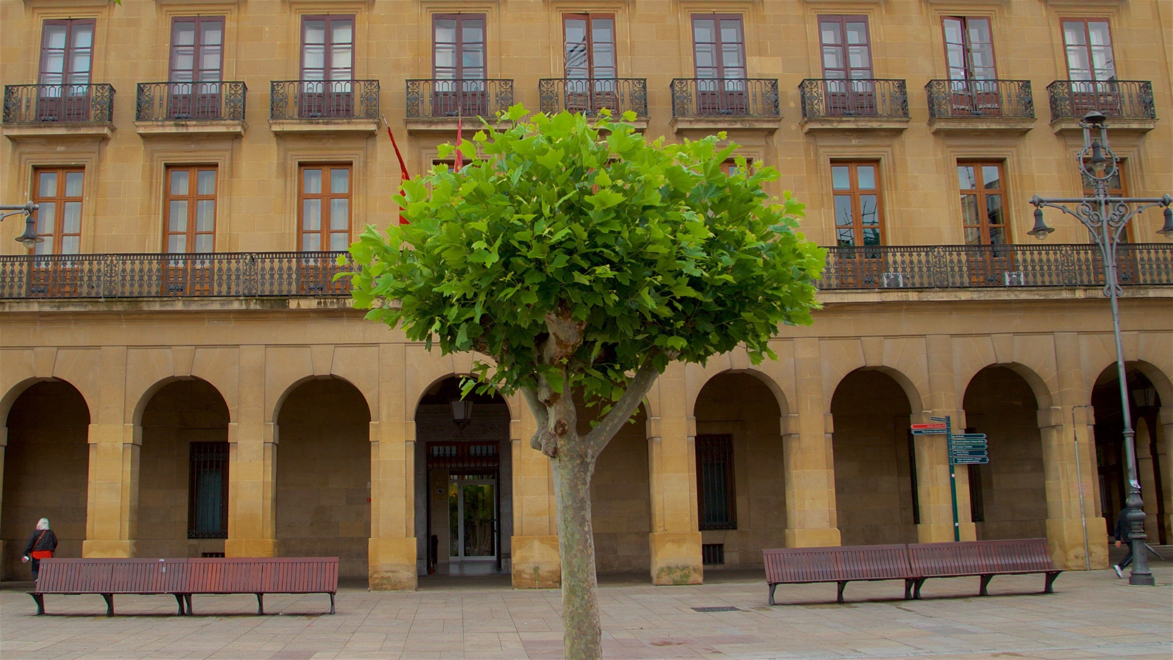 Palacio de Navarra featuring a square or plaza and heritage elements