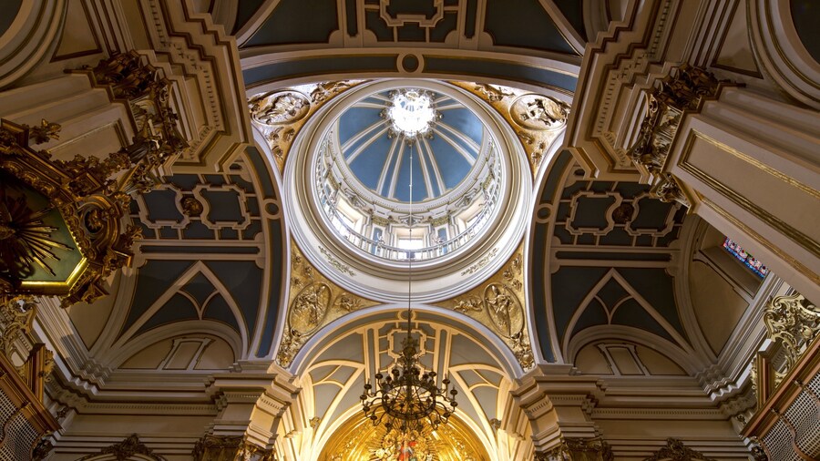 Church of San Saturnino showing interior views and heritage elements