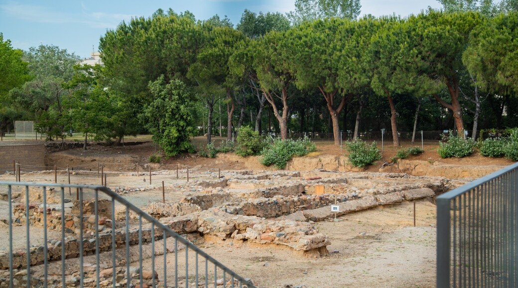 La Llosa Roman Villa showing heritage elements and building ruins