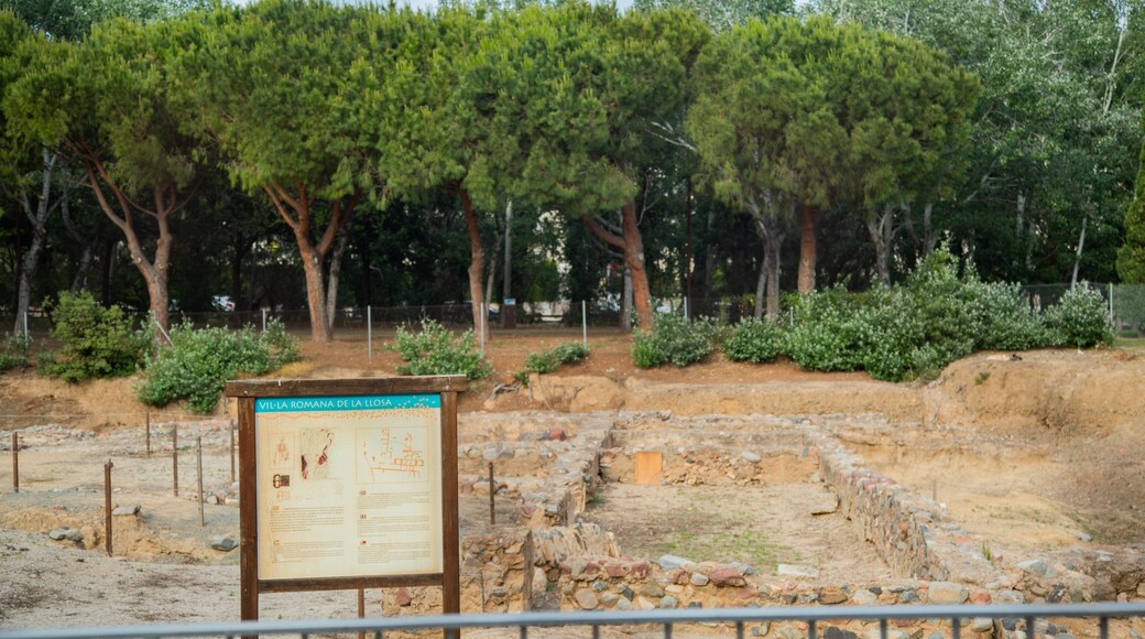 La Llosa Roman Villa which includes signage, a ruin and heritage elements