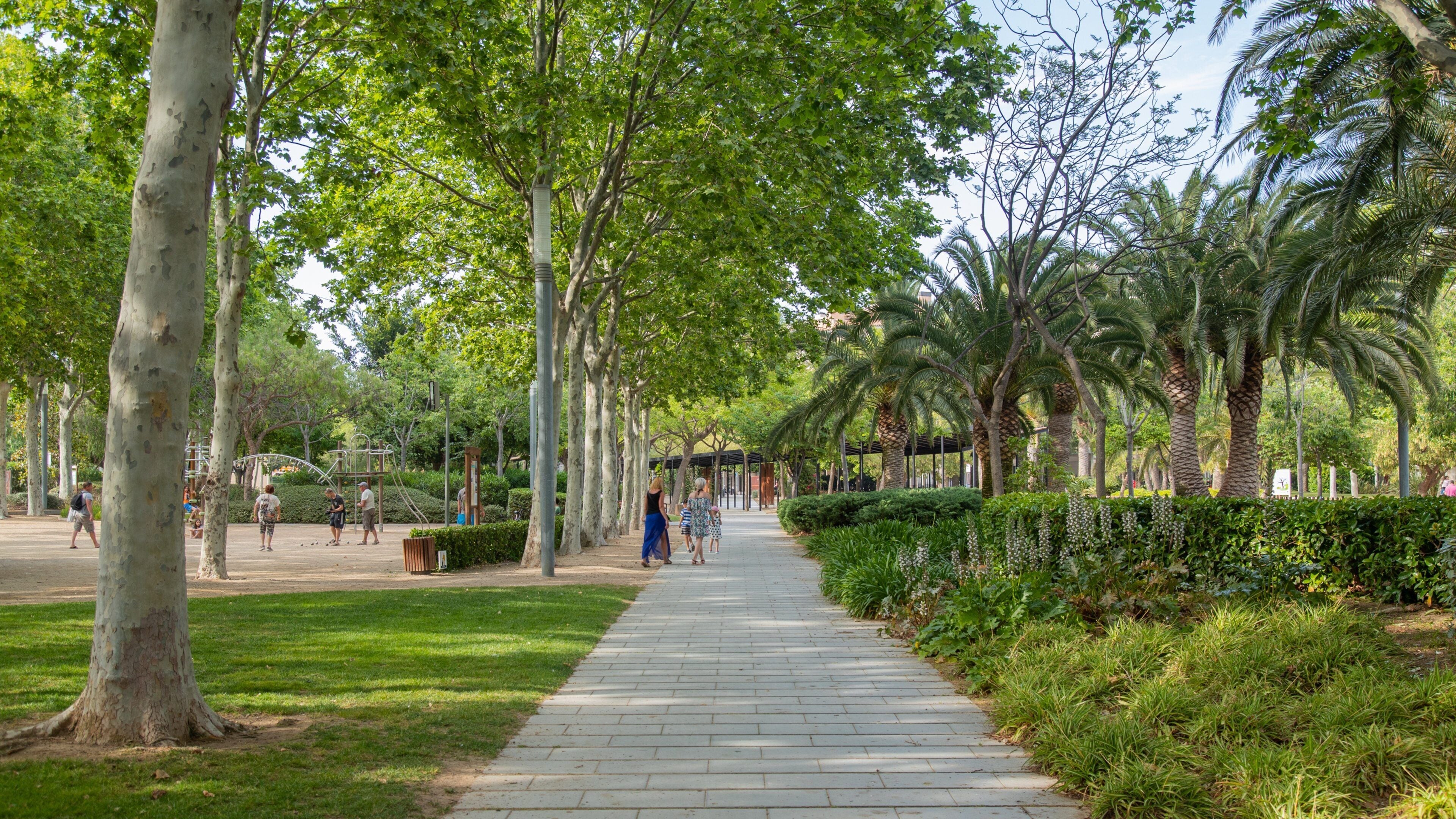 Fisherman\'s Park which includes a garden