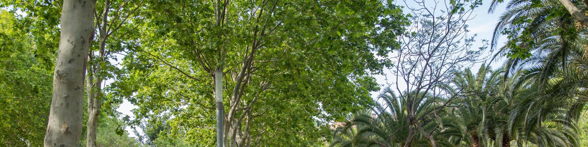 Fisherman\'s Park which includes a garden