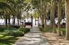 A tree-lined pathway leading to a body of water.