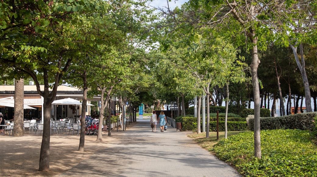 Fisherman\'s Park showing a park as well as a couple