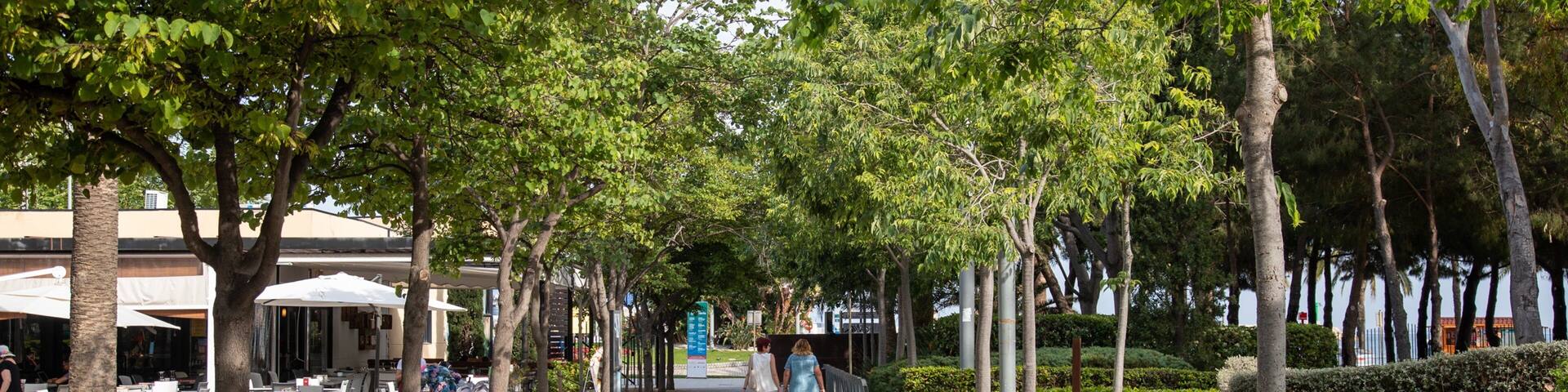 A tree-lined pathway with outdoor seating and a cafe in the background.