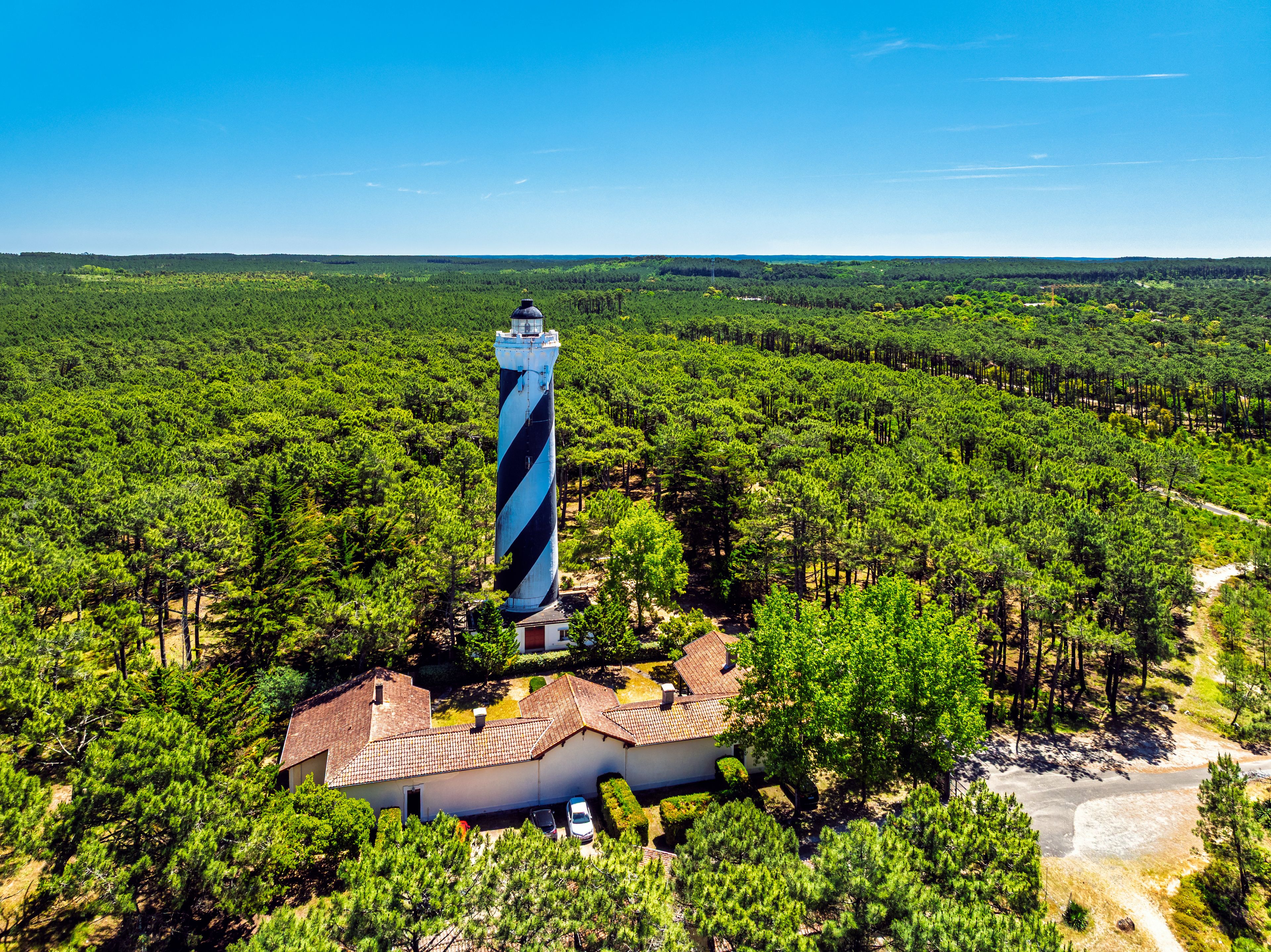 Un faro rodeado de un denso bosque de pinos bajo un cielo azul despejado.