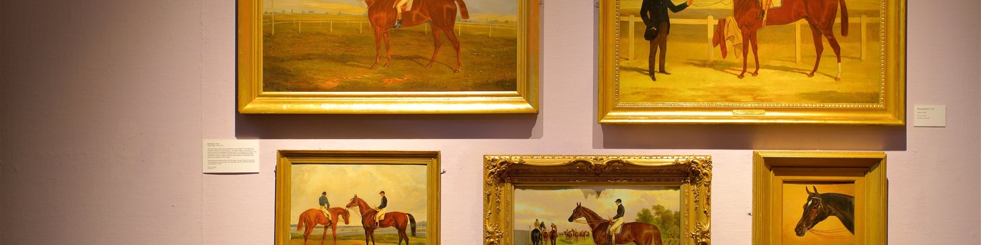 Doncaster Museum and Art Gallery mostrando vistas internas e arte