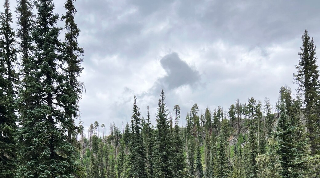 629 號湯普森步道
