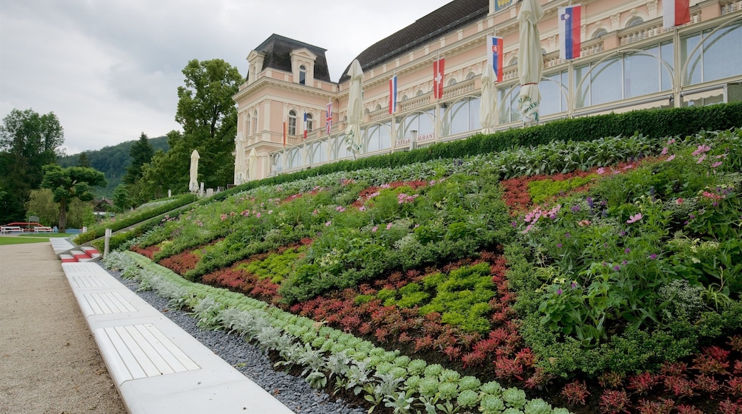 巴德依休 呈现出 花卉, 花園 和 懷舊元素