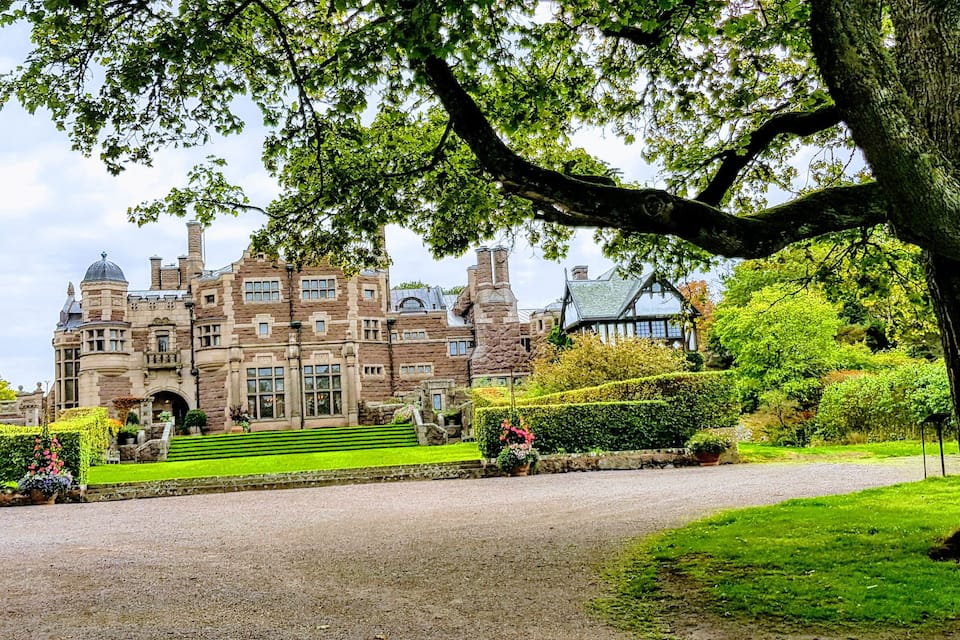 A historic building with a large tree in the foreground.