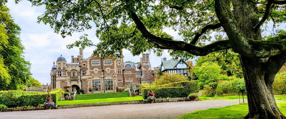 A historic building with a large tree in the foreground.
