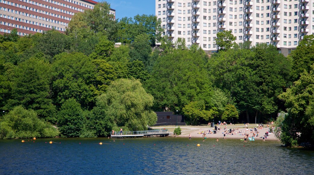 Smedsuddsbadet showing a lake or waterhole as well as a small group of people
