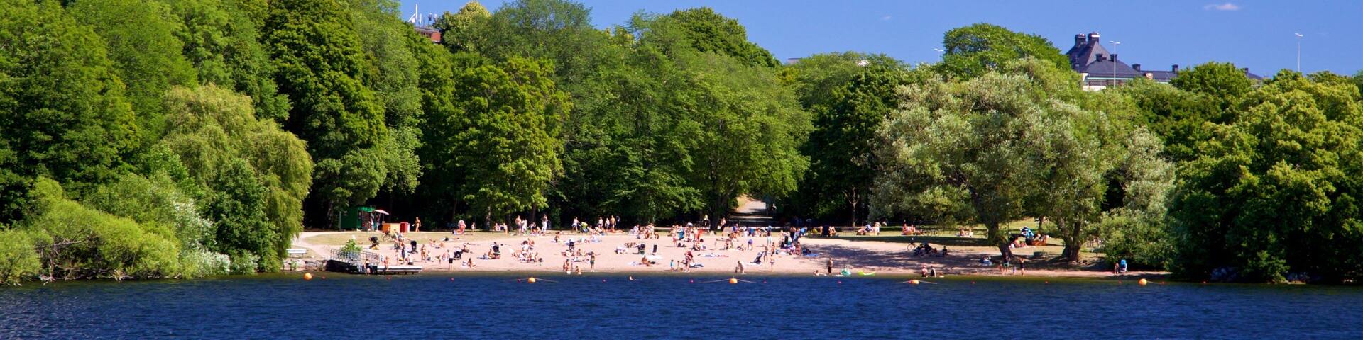 A lakeside park with dense trees, a sandy beach, and a few buildings in the background.