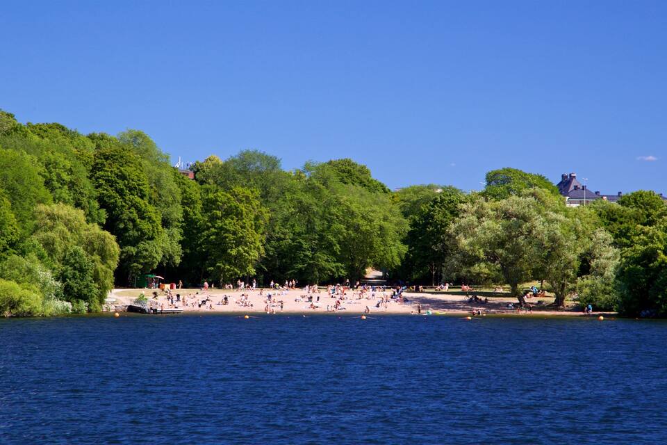Un parque junto al lago con árboles frondosos, una playa de arena y algunos edificios al fondo.