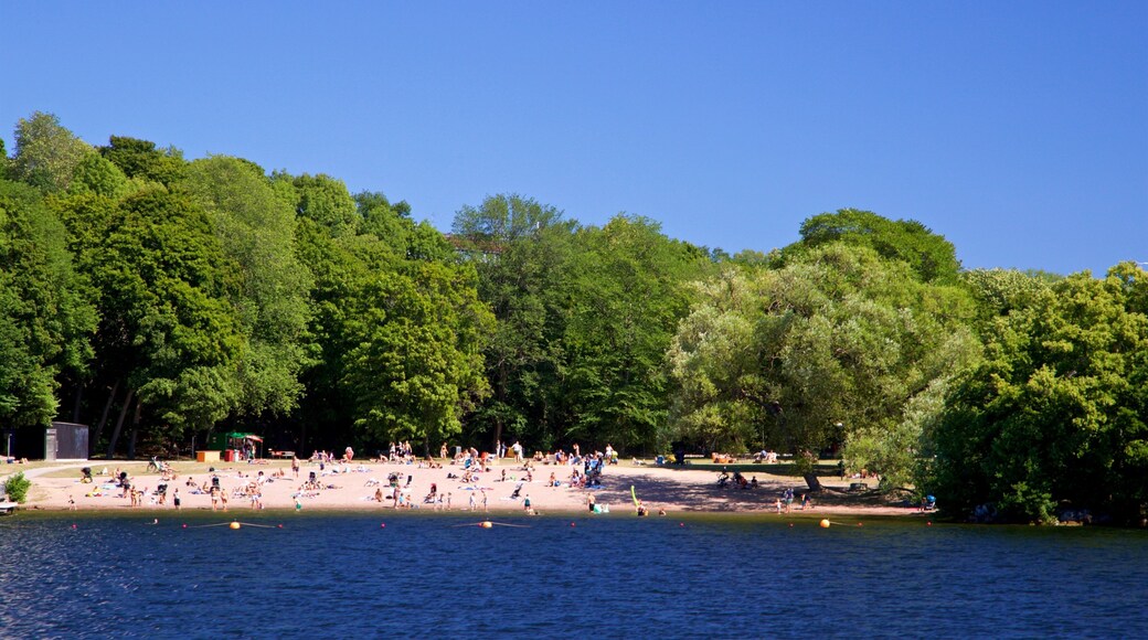 Smedsuddsbadet which includes a lake or waterhole as well as a small group of people