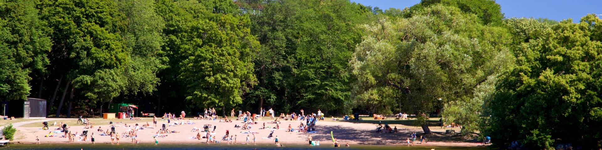 Smedsuddsbadet which includes a lake or waterhole as well as a small group of people