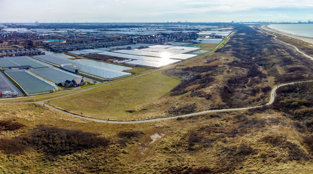 Playa de Hoek van Holland