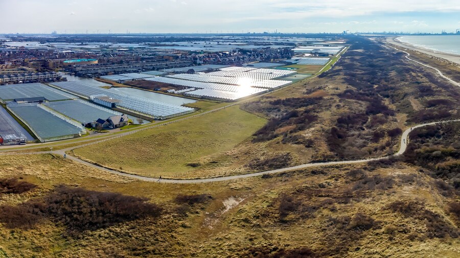 หาด Hoek van Holland
