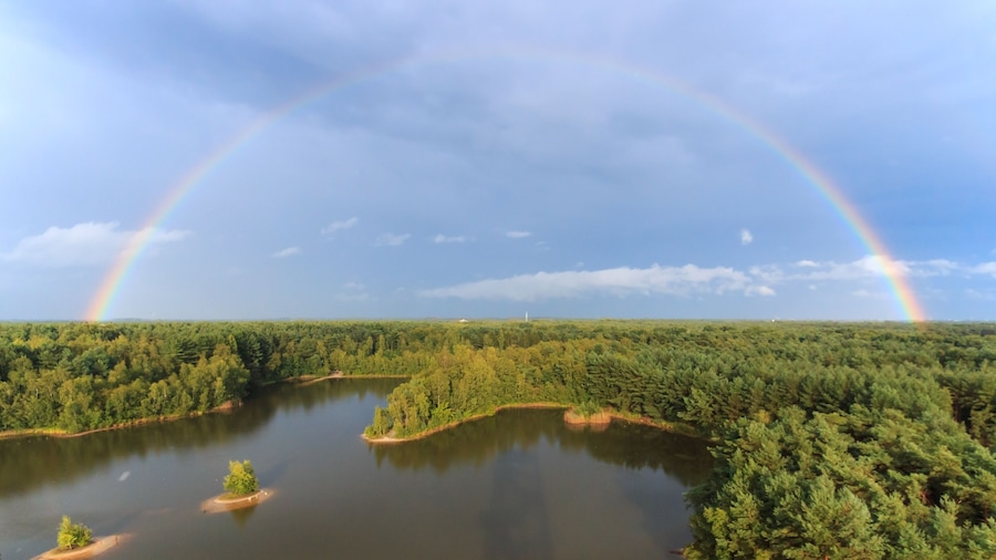 Rainbow at sunset over the forest in the natural park called Lommeles Sahara in Belgium