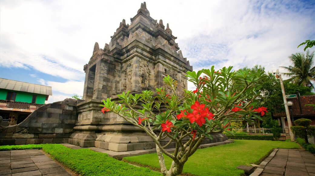 Java que incluye flores salvajes y arquitectura patrimonial