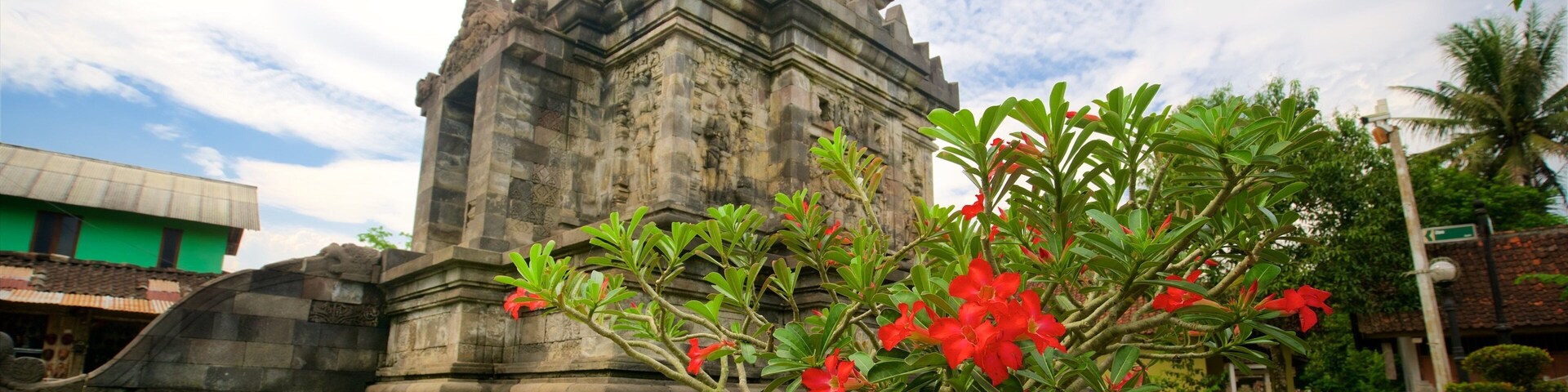 ์๋ฐ ์ ํน์ง ์ผ์ํ ๊ณผ ๋ฌธํ์ ์ฐ ๊ฑด์ถ