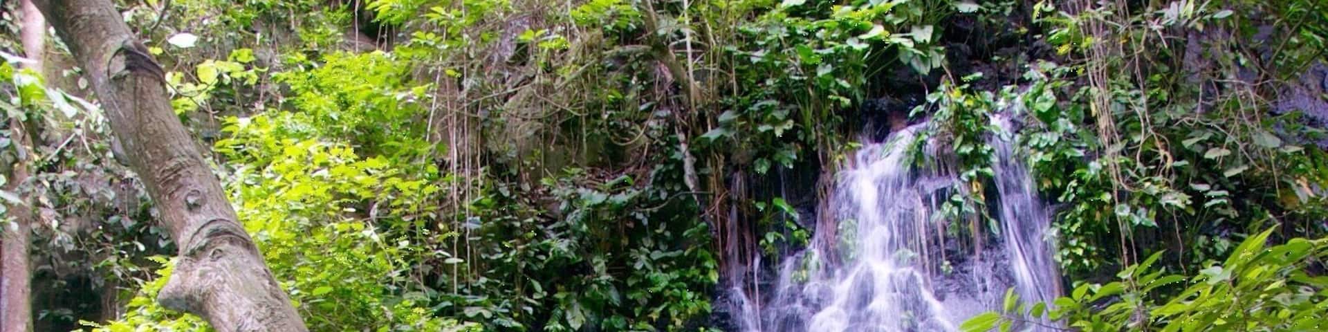 It's Tinago Falls this time! The word "tinago" means hidden. And yes, literally, it is hidden. It sits in the middle of the woods. Since I cannot incorporate in one picture all the beautiful parts of this falls, I posted separate photographs with the same caption.
There are two ways to get here. First is taking the 400-step stairs and the other is the 200-step stairs. No matter which way you choose, both are immensely EXHAUSTING! Whew! Just because it's only 200 steps does not mean it's easier than the former. It's a broken trail! The concrete stairs have been ruined by roots of old trees and plants, which make your journey even harder. Not to mention the cliff where you can fall off from if you don't watch out.
Let me talk about the mystery behind this (I'm thrilled as I begin): the truth is that no one has ever measured the depth of this yet. Many people attempted to do so, but they ended up losing their lives. Locals of this place say that there are "beings" that live underwater and that they take lives every now and then. No one knows whether that is true or not. It's a hearsay. All I know is that Tinago Falls remains a mystery to the world. Below the rock formations are caves. And just behind that water curtain lies another cave. And then a few more everywhere. A number of people has seen it, but it required them first an immeasurable amount of courage before they were able to do see the caves. The last time I came here, I got a chance to talk to a 23-year old guy who lives around. He claimed to be one of the caretakers of the falls. He recounted several stories he has witnessed over time, such as hearing cries all over the place very early in the morning, seeing a friend of his jump off from the top and died head-on; and looking at people risk their lives by trying to swim deep down (then they never came to the surface ever again).
The falls is overwhelming. Even I cannot stop staring at it despite having seen it already a thousand times in my life. I've heard that an aerial perspective of the lagoon/falls will you give you an image of just plain dark water. It may have appeared blue-green in the picture but from afar, it is black. Nonetheless, this place is best known for its relaxing atmosphere. The water is very cold -- so ideal for tropical countries like ours, especially during summer. People come here for picnics and picture-taking activities. I love this place. I can go on talking about it for hours. By the way, I've taken several friends here and they all said the same thing: "WOW!" I hope to also see this wow-expression on your face one day. You are most welcome in my city.
Happy travels,
Star, Iligan City, PH