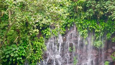 It's Tinago Falls this time! The word "tinago" means hidden. And yes, literally, it is hidden. It sits in the middle of the woods. Since I cannot incorporate in one picture all the beautiful parts of this falls, I posted separate photographs with the same caption.
There are two ways to get here. First is taking the 400-step stairs and the other is the 200-step stairs. No matter which way you choose, both are immensely EXHAUSTING! Whew! Just because it's only 200 steps does not mean it's easier than the former. It's a broken trail! The concrete stairs have been ruined by roots of old trees and plants, which make your journey even harder. Not to mention the cliff where you can fall off from if you don't watch out.
Let me talk about the mystery behind this (I'm thrilled as I begin): the truth is that no one has ever measured the depth of this yet. Many people attempted to do so, but they ended up losing their lives. Locals of this place say that there are "beings" that live underwater and that they take lives every now and then. No one knows whether that is true or not. It's a hearsay. All I know is that Tinago Falls remains a mystery to the world. Below the rock formations are caves. And just behind that water curtain lies another cave. And then a few more everywhere. A number of people has seen it, but it required them first an immeasurable amount of courage before they were able to do see the caves. The last time I came here, I got a chance to talk to a 23-year old guy who lives around. He claimed to be one of the caretakers of the falls. He recounted several stories he has witnessed over time, such as hearing cries all over the place very early in the morning, seeing a friend of his jump off from the top and died head-on; and looking at people risk their lives by trying to swim deep down (then they never came to the surface ever again).
The falls is overwhelming. Even I cannot stop staring at it despite having seen it already a thousand times in my life. I've heard that an aerial perspective of the lagoon/falls will you give you an image of just plain dark water. It may have appeared blue-green in the picture but from afar, it is black. Nonetheless, this place is best known for its relaxing atmosphere. The water is very cold -- so ideal for tropical countries like ours, especially during summer. People come here for picnics and picture-taking activities. I love this place. I can go on talking about it for hours. By the way, I've taken several friends here and they all said the same thing: "WOW!" I hope to also see this wow-expression on your face one day. You are most welcome in my city.
Happy travels,
Star, Iligan City, PH