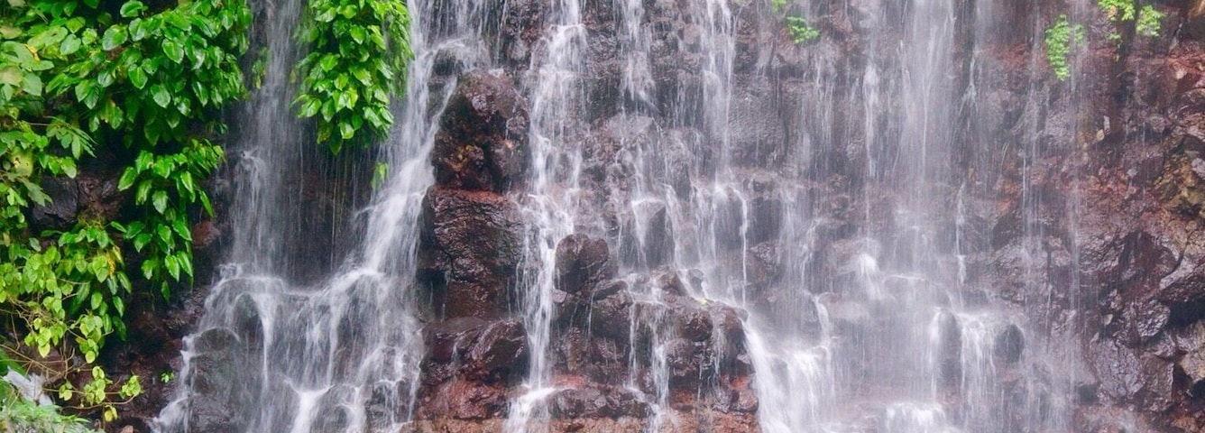 It's Tinago Falls this time! The word "tinago" means hidden. And yes, literally, it is hidden. It sits in the middle of the woods. Since I cannot incorporate in one picture all the beautiful parts of this falls, I posted separate photographs with the same caption.
There are two ways to get here. First is taking the 400-step stairs and the other is the 200-step stairs. No matter which way you choose, both are immensely EXHAUSTING! Whew! Just because it's only 200 steps does not mean it's easier than the former. It's a broken trail! The concrete stairs have been ruined by roots of old trees and plants, which make your journey even harder. Not to mention the cliff where you can fall off from if you don't watch out.
Let me talk about the mystery behind this (I'm thrilled as I begin): the truth is that no one has ever measured the depth of this yet. Many people attempted to do so, but they ended up losing their lives. Locals of this place say that there are "beings" that live underwater and that they take lives every now and then. No one knows whether that is true or not. It's a hearsay. All I know is that Tinago Falls remains a mystery to the world. Below the rock formations are caves. And just behind that water curtain lies another cave. And then a few more everywhere. A number of people has seen it, but it required them first an immeasurable amount of courage before they were able to do see the caves. The last time I came here, I got a chance to talk to a 23-year old guy who lives around. He claimed to be one of the caretakers of the falls. He recounted several stories he has witnessed over time, such as hearing cries all over the place very early in the morning, seeing a friend of his jump off from the top and died head-on; and looking at people risk their lives by trying to swim deep down (then they never came to the surface ever again).
The falls is overwhelming. Even I cannot stop staring at it despite having seen it already a thousand times in my life. I've heard that an aerial perspective of the lagoon/falls will you give you an image of just plain dark water. It may have appeared blue-green in the picture but from afar, it is black. Nonetheless, this place is best known for its relaxing atmosphere. The water is very cold -- so ideal for tropical countries like ours, especially during summer. People come here for picnics and picture-taking activities. I love this place. I can go on talking about it for hours. By the way, I've taken several friends here and they all said the same thing: "WOW!" I hope to also see this wow-expression on your face one day. You are most welcome in my city.
Happy travels,
Star, Iligan City, PH