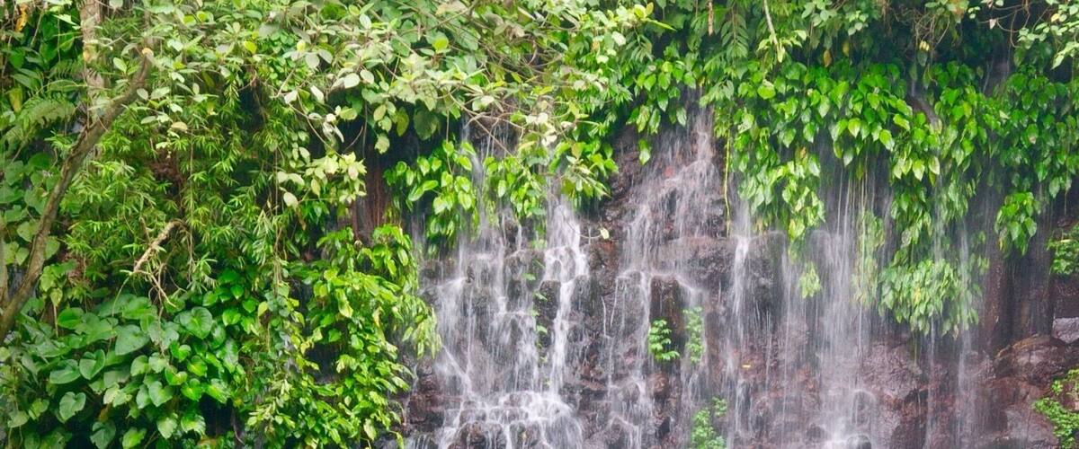 A waterfall cascading over rocky terrain surrounded by lush green foliage.