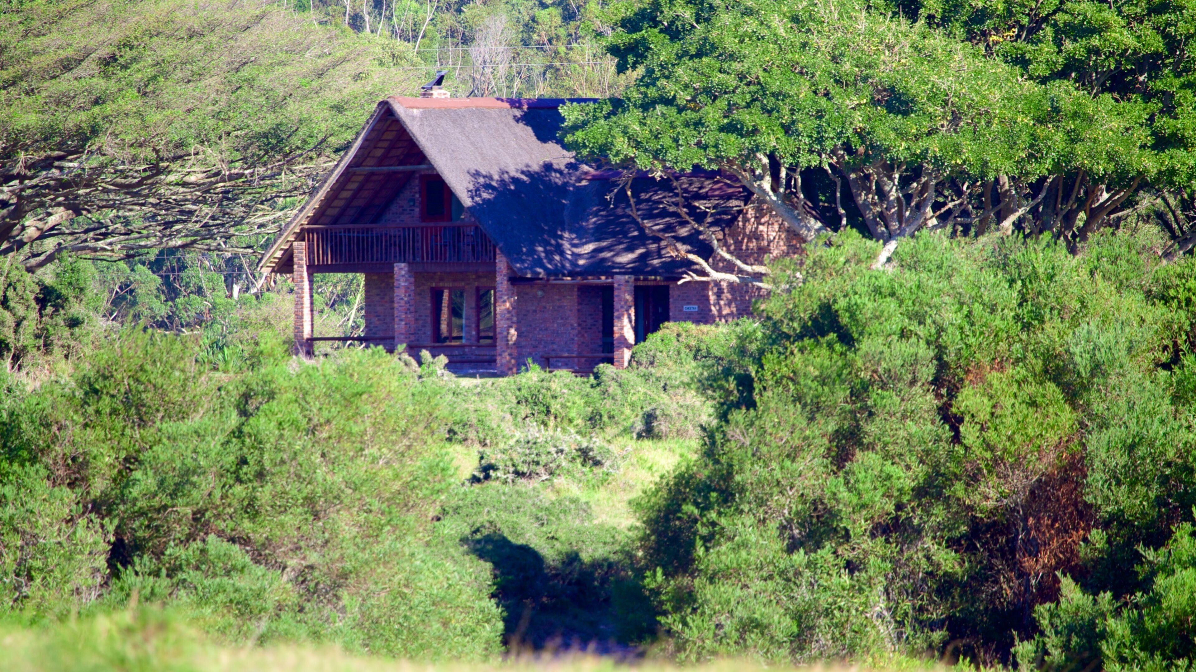 Kragga Kamma Game Park featuring tranquil scenes