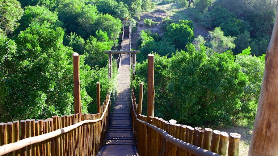 Eastern Cape which includes forests, landscape views and a garden