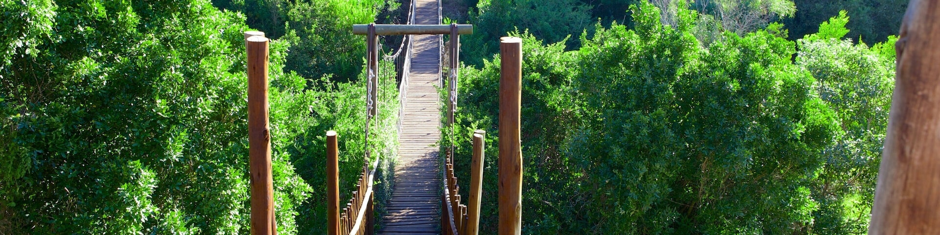 Eastern Cape which includes forests, landscape views and a garden