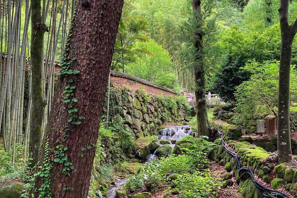 Une scène paisible de forêt, avec un petit ruisseau, des rochers couverts de mousse et des bambous.