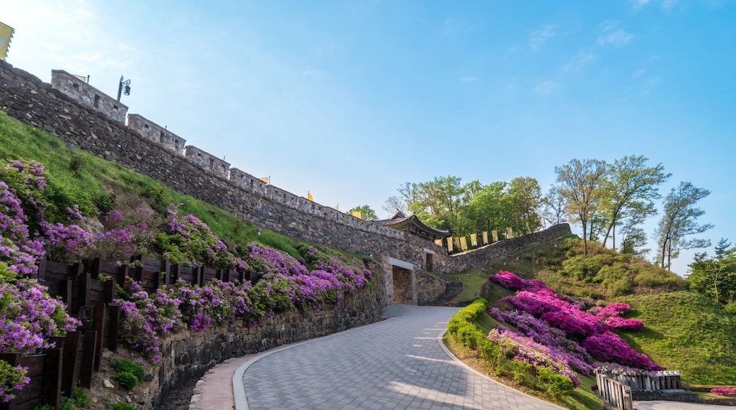 Instituto de Historia y Cultura de Chungcheongnamdo