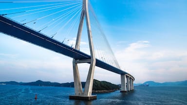 A large suspension bridge with tall towers and cables spanning a body of water.