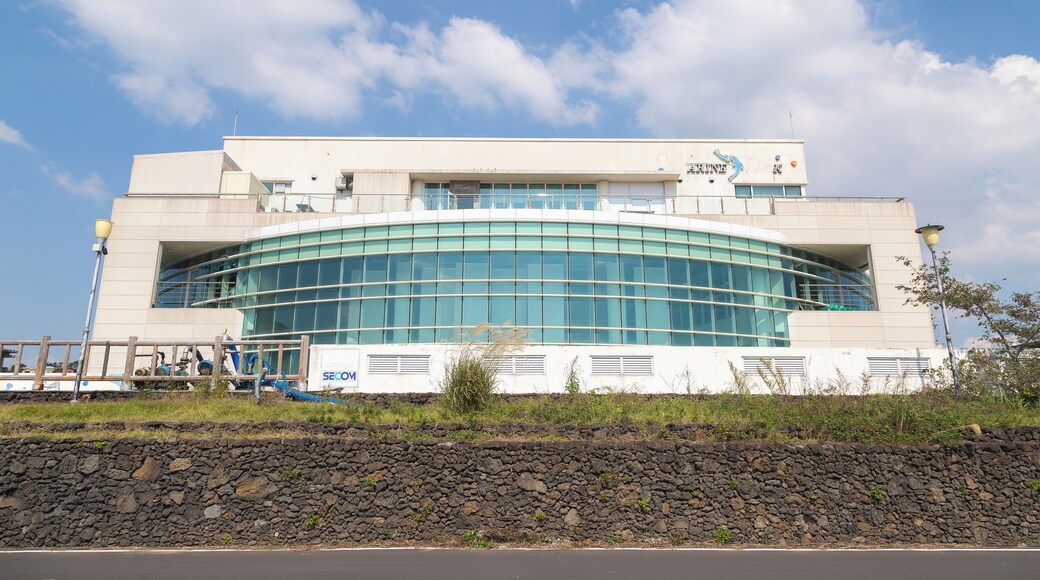 Activité ludique Marine Park