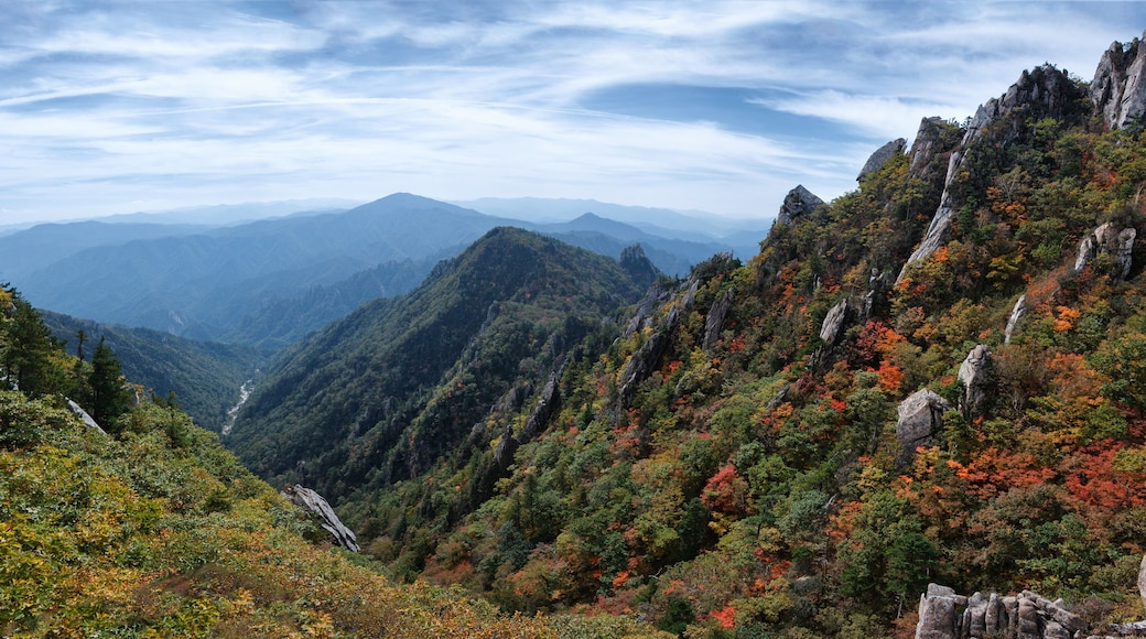 ダエランジ ビレッジ