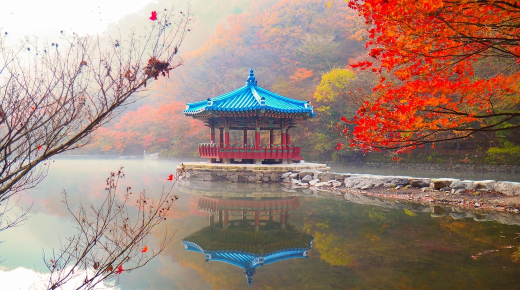 ダエランジ ビレッジ