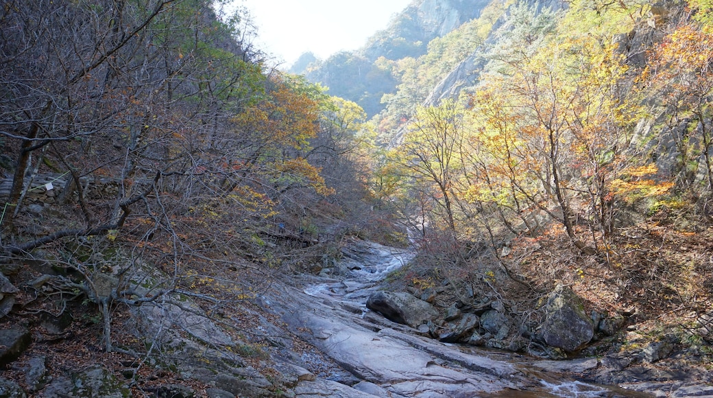 ダエランジ ビレッジ