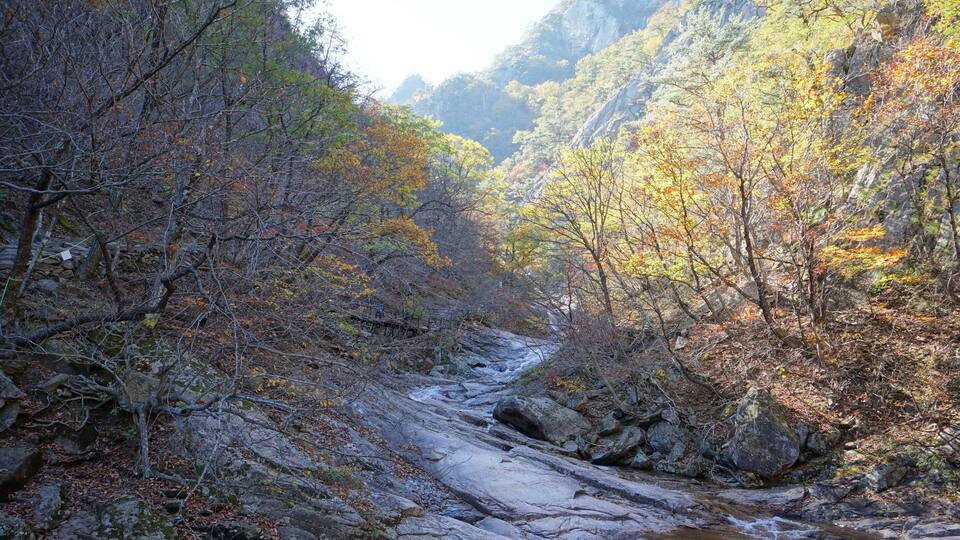 A river flowing through a forested valley with autumn foliage.