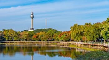 83 Tower behind an artificial lake in Daegu, Republic of Korea
