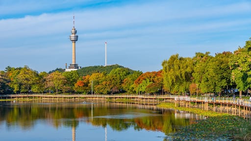 83 Tower behind an artificial lake in Daegu, Republic of Korea