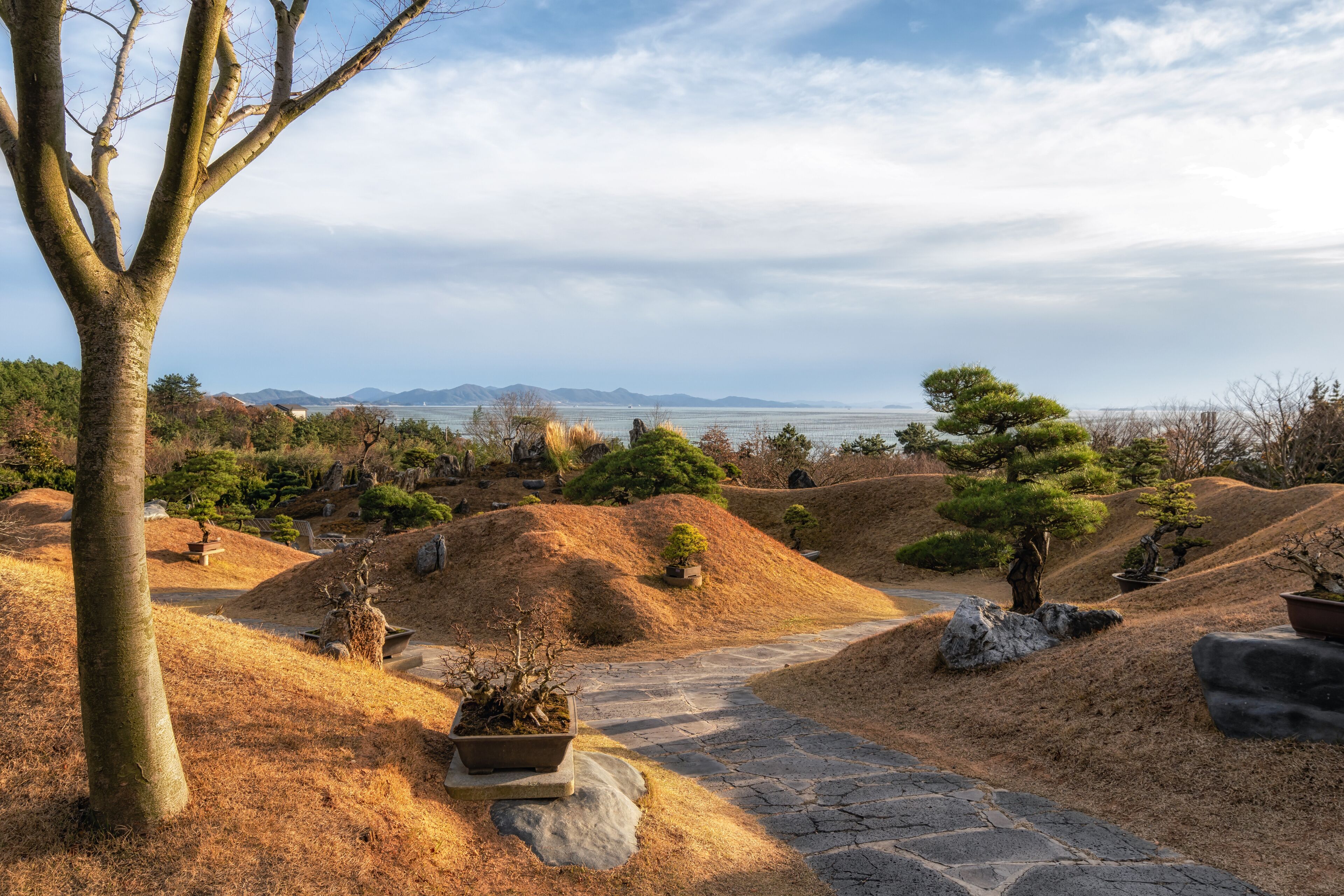 Cheonsaseom Bonsai Park