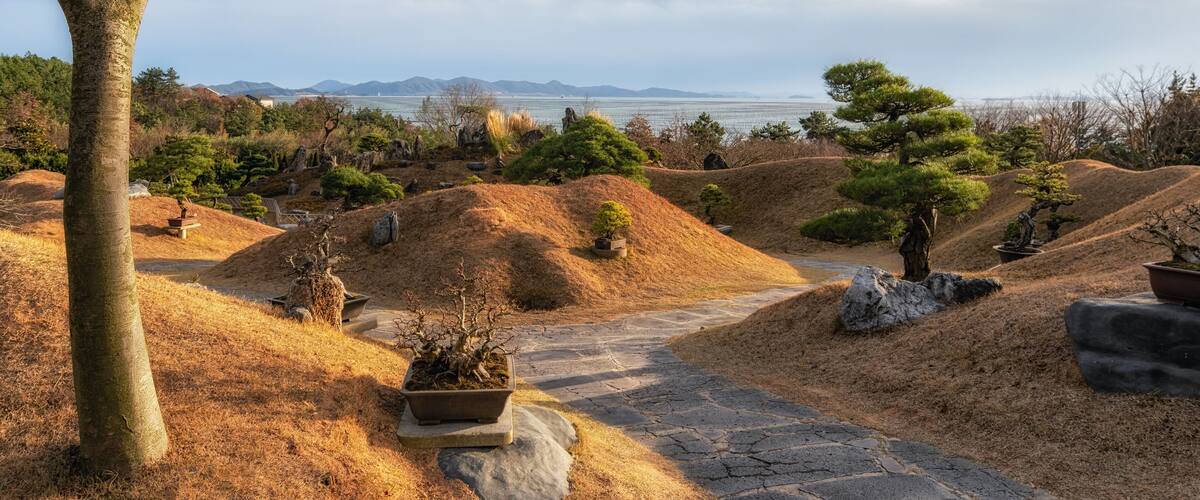 Cheonsaseom Bonsai Park
