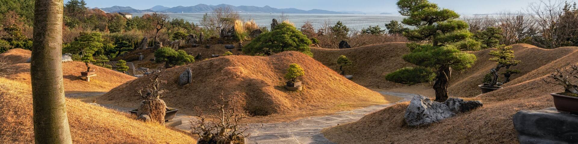 A serene garden with a stone pathway, bonsai trees, and a view of the sea.