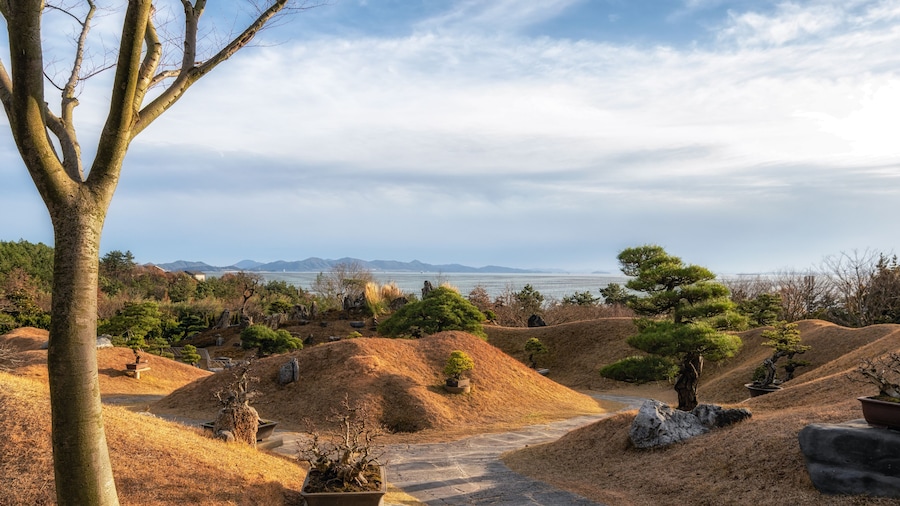 Cheonsaseom Bonsai Park
